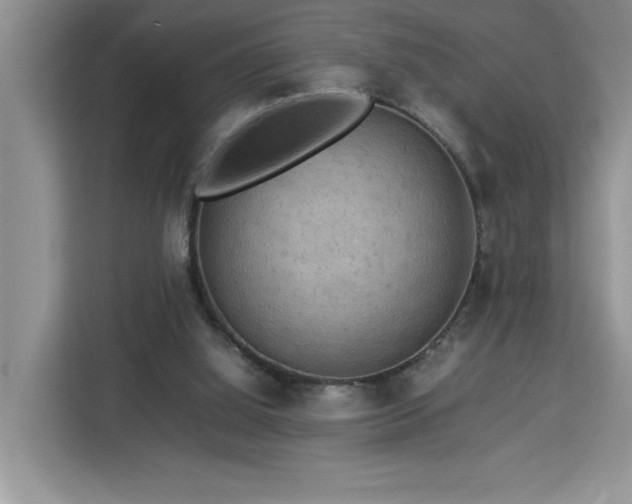 X0000112950060200908311517