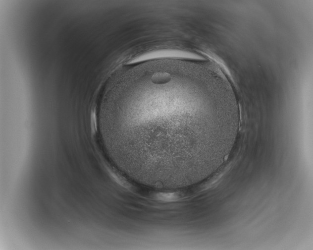 X0000112950061200908311517