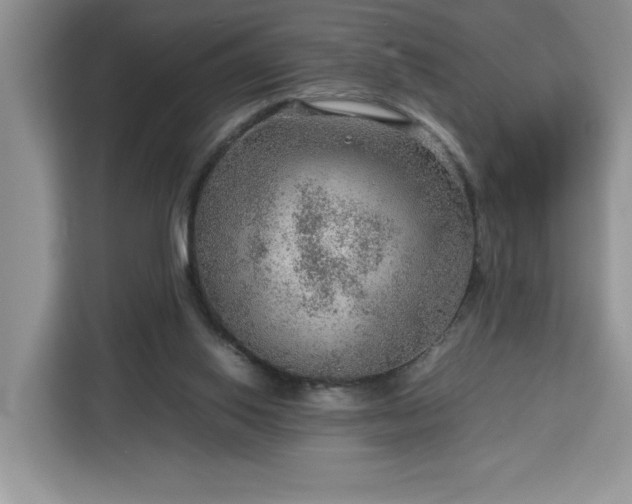 X0000112950062200908311518