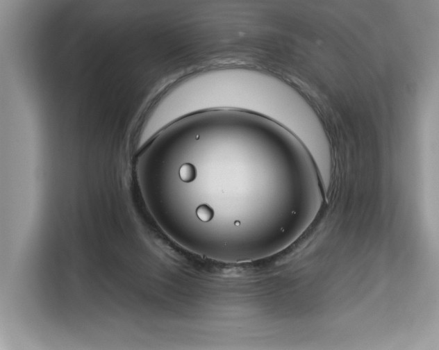 X0000112950064200908311518