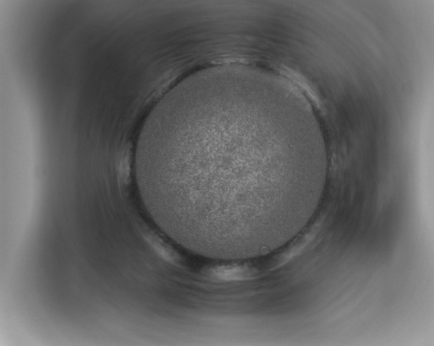 X0000112950065200908311518