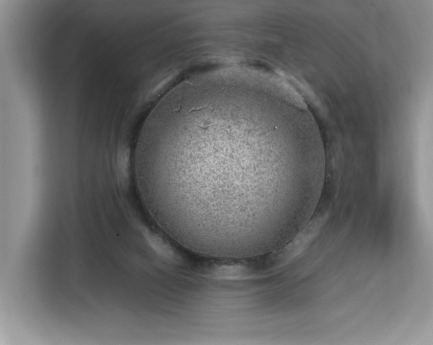 X0000112950066200908311518