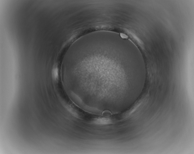 X0000112950067200908311518