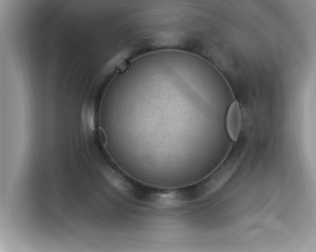 X0000112950068200908311518