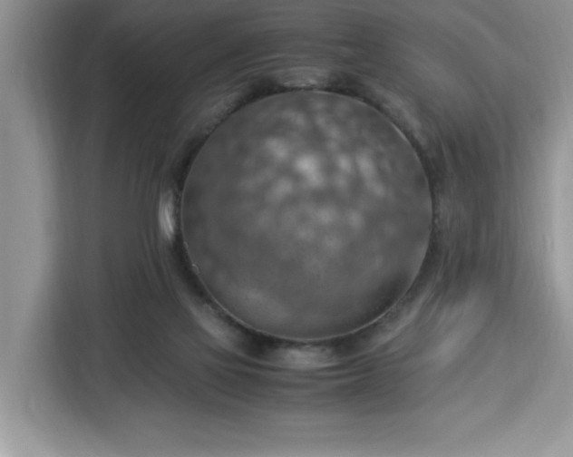 X0000112950069200908311518