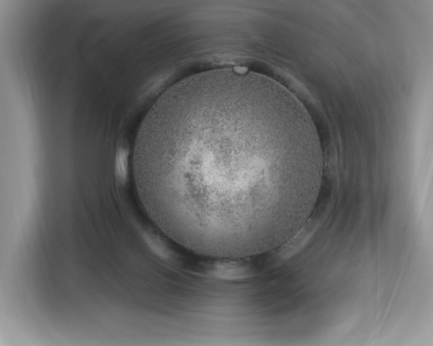 X0000112950070200908311518