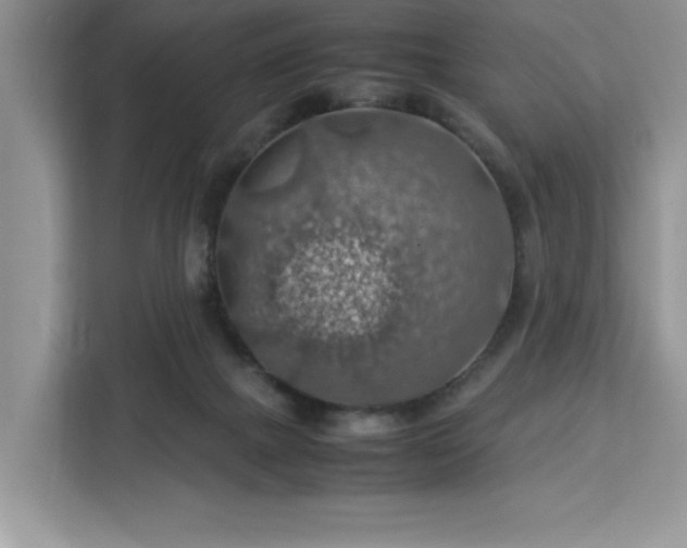 X0000112950073200908311518