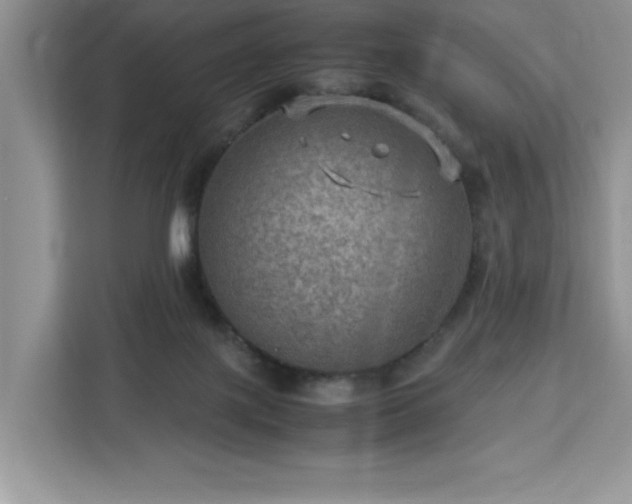 X0000112950075200908311518