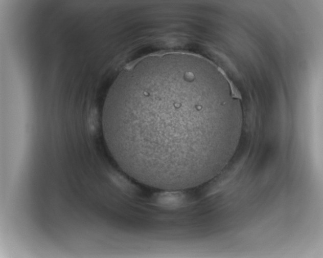 X0000112950077200908311518