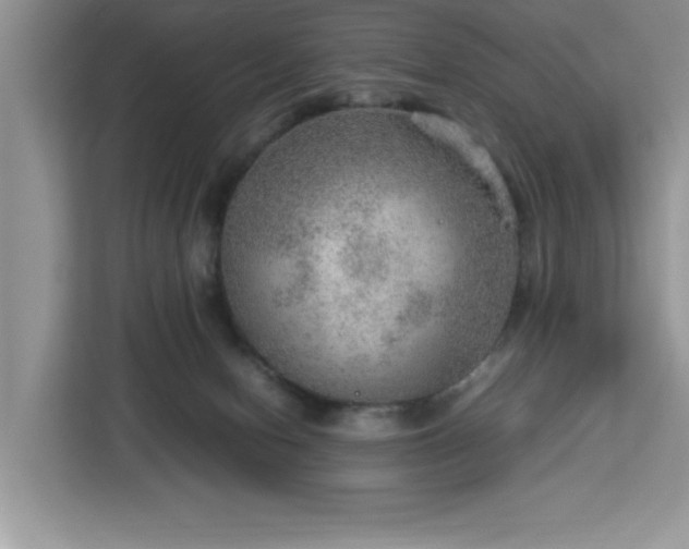 X0000112950078200908311518