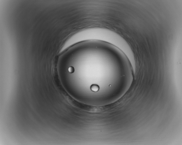 X0000112950080200908311518