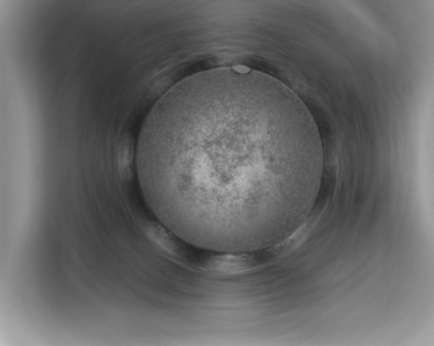 X0000112950082200908311518