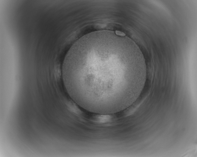 X0000112950085200908311518