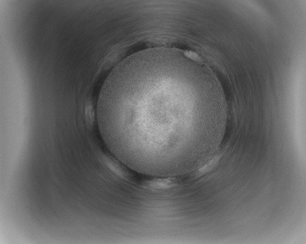 X0000112950086200908311518