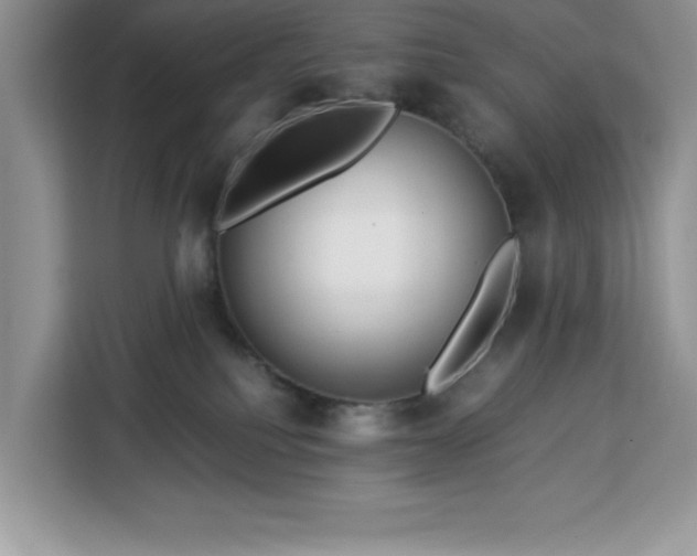 X0000112950088200908311518