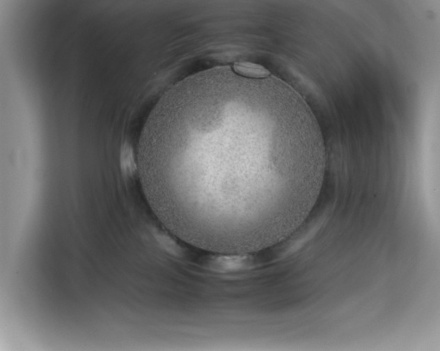 X0000112950089200908311518