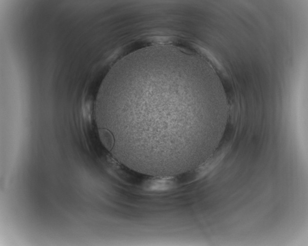 X0000112950093200908311518