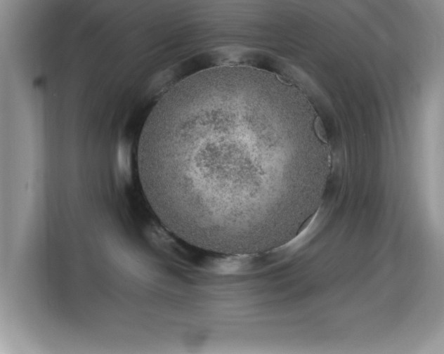 X0000112950094200908311518