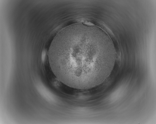 X0000112950095200908311518