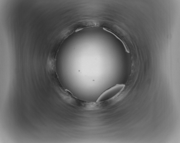 X0000112950096200908311518