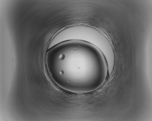 X0000112950097200908311517