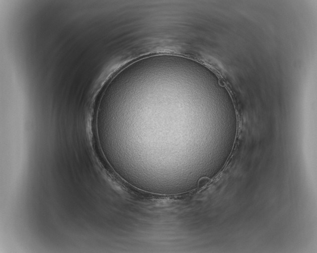 X0000112950098200908311517