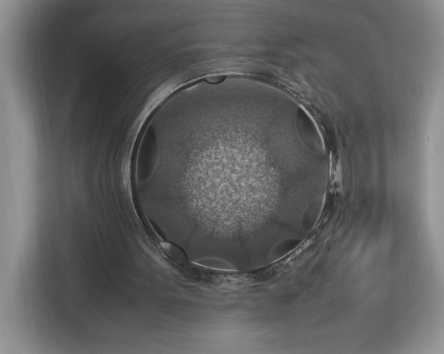 X0000112950099200908311517