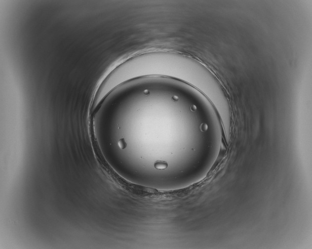 X0000112950100200908311517