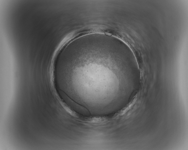 X0000112950101200908311517