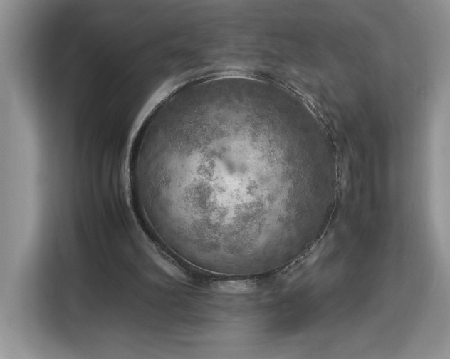 X0000112950102200908311517