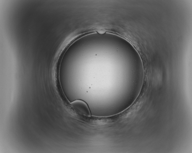 X0000112950103200908311517