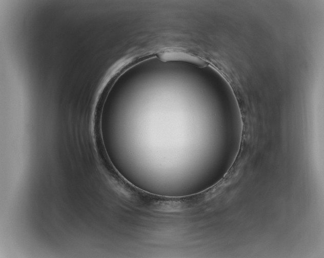 X0000112950104200908311517