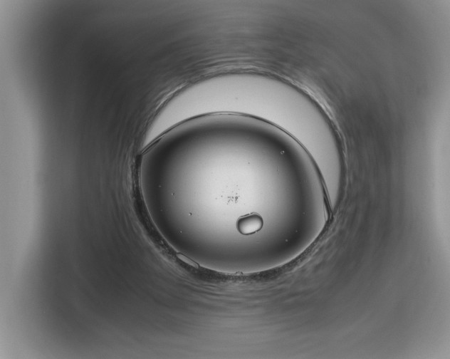 X0000112950105200908311517