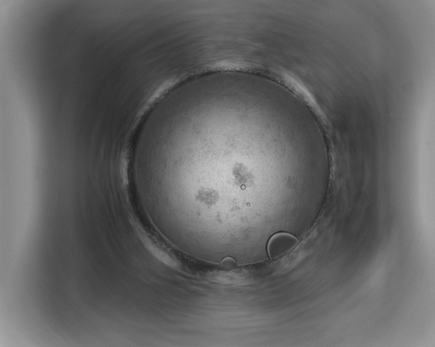 X0000112950106200908311517