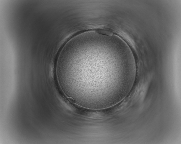 X0000112950107200908311517