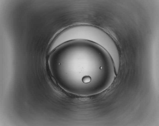 X0000112950108200908311517