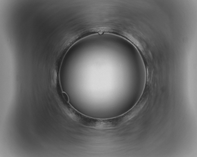 X0000112950109200908311517