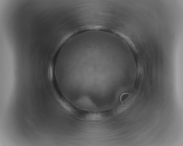 X0000112950110200908311517