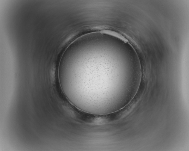 X0000112950111200908311517