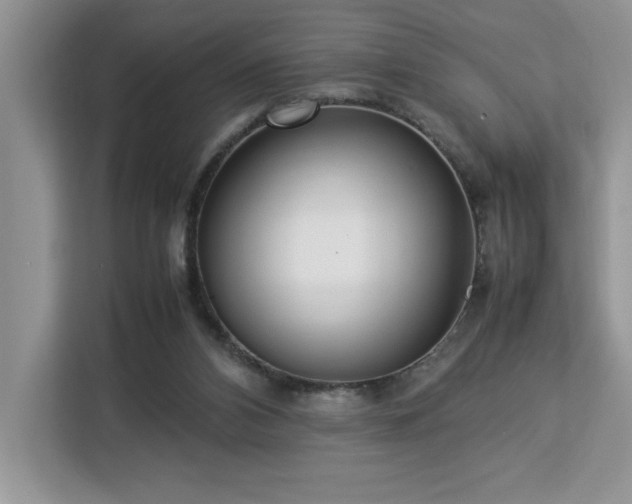 X0000112950112200908311517