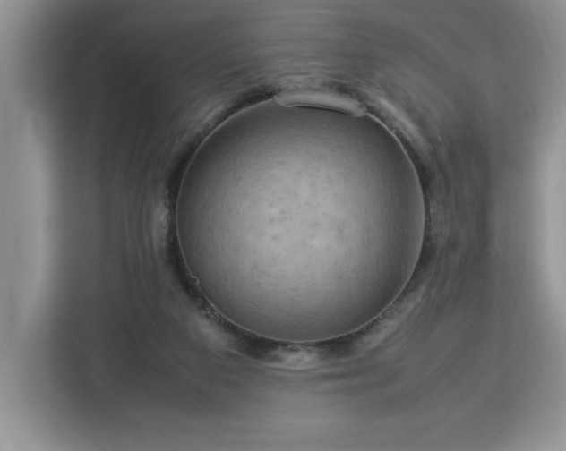 X0000112950113200908311517