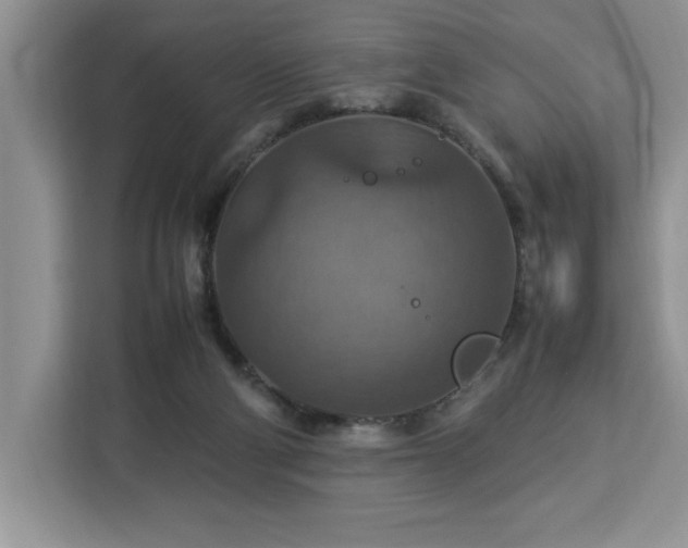 X0000112950114200908311517