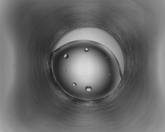 X0000112950116200908311517