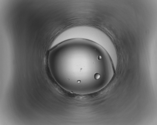 X0000112950117200908311517