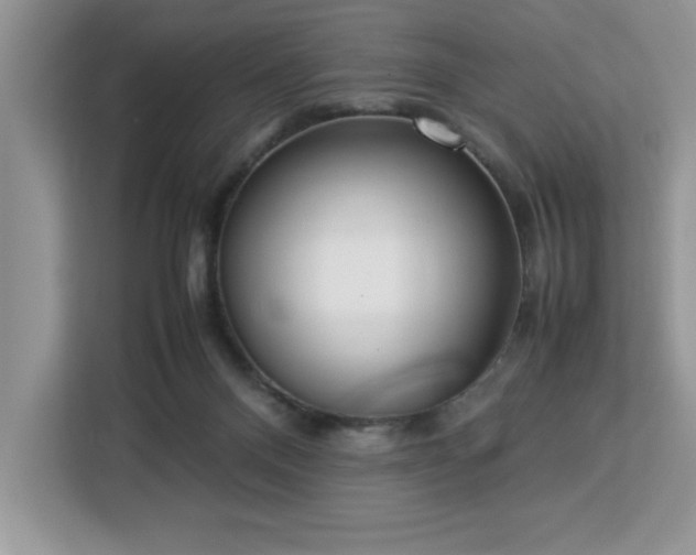 X0000112950120200908311517