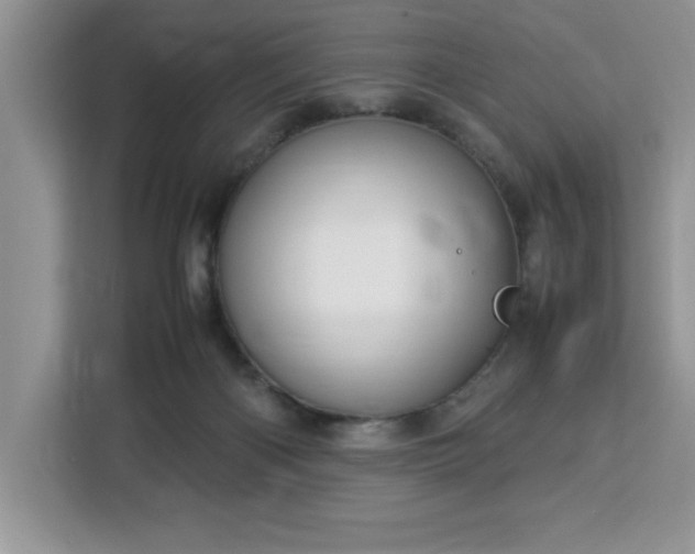 X0000112950122200908311517