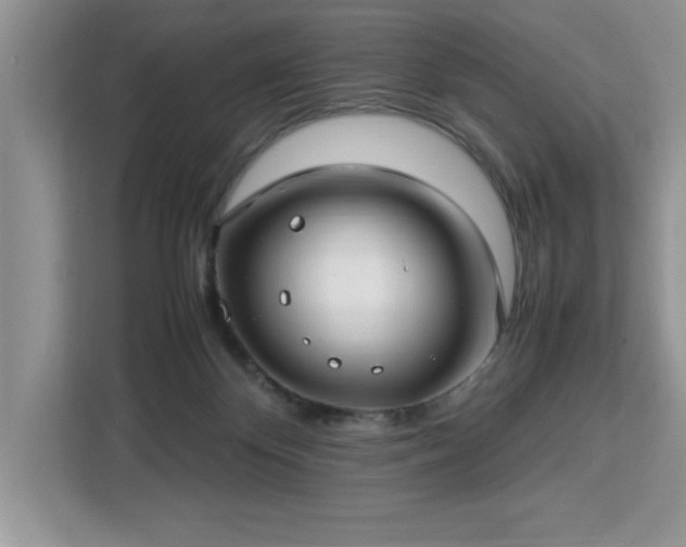 X0000112950124200908311517