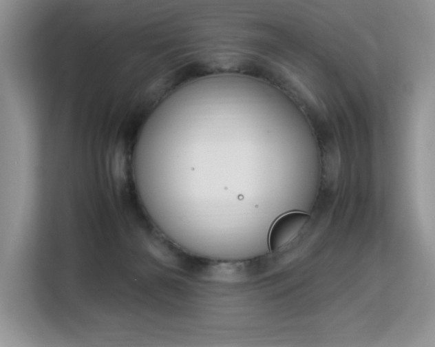 X0000112950126200908311517