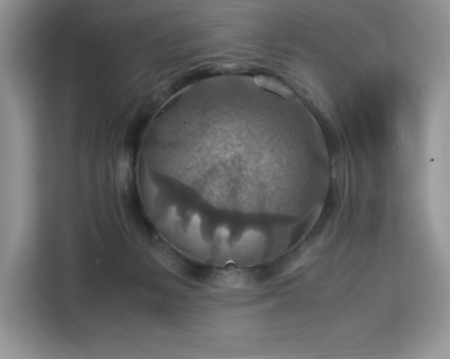 X0000112950127200908311517