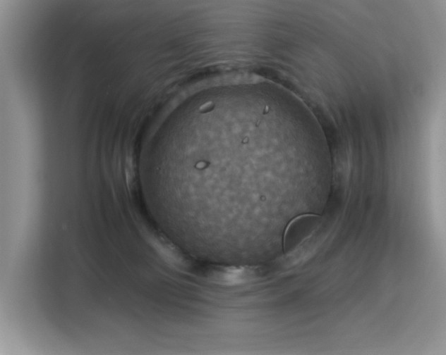 X0000112950130200908311517